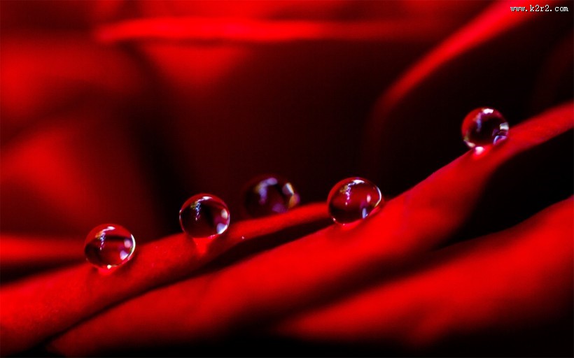 花瓣上流动的水珠宝石图片