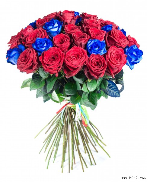 美丽的花束图片