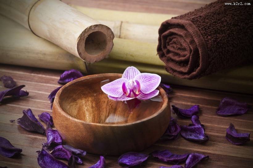 各种颜色的蝴蝶兰图片大全