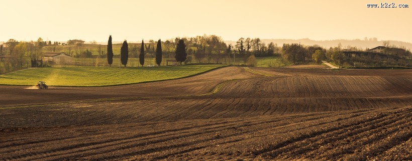 农作物丰收图片大全