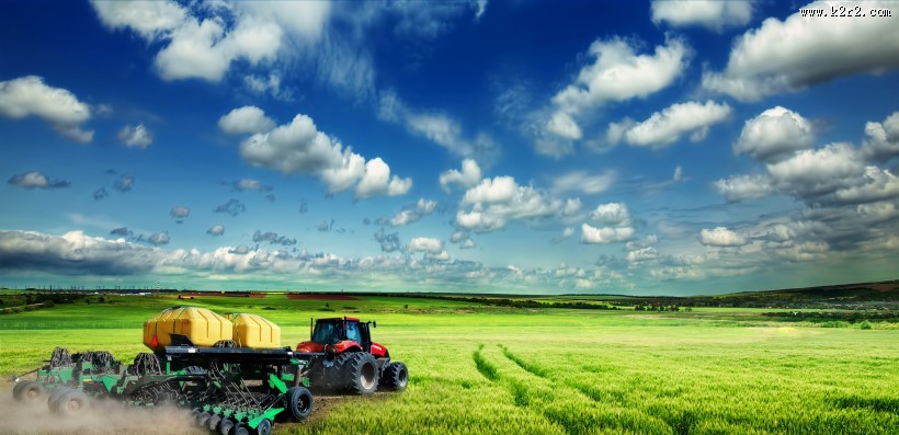 农作物丰收图片大全