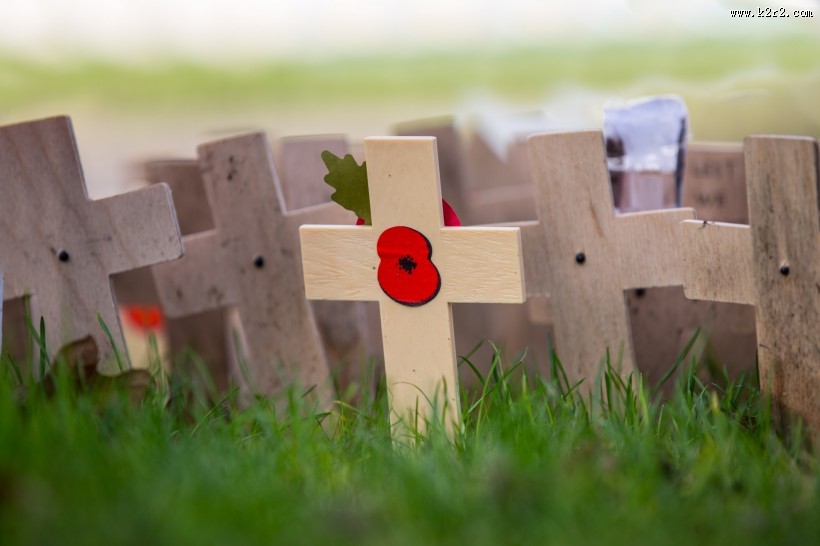 十字上的罂粟花图片