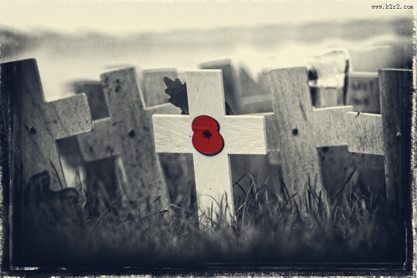 十字上的罂粟花图片