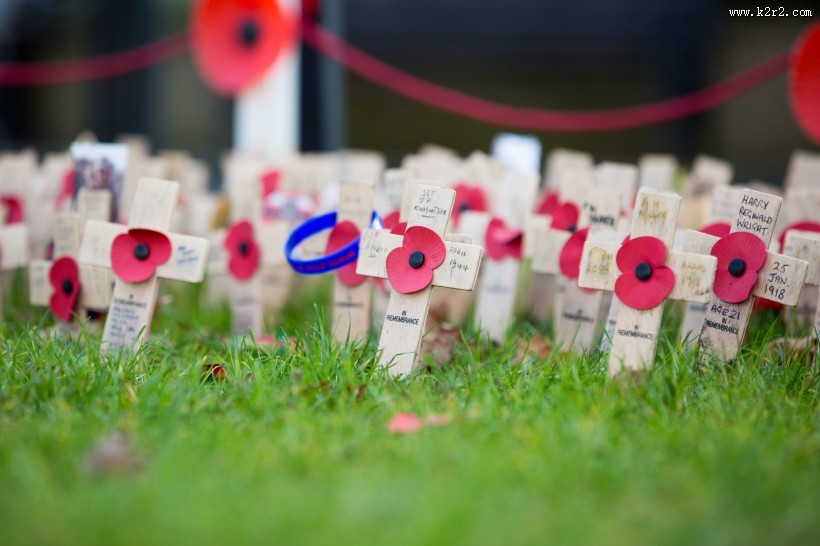 十字上的罂粟花图片