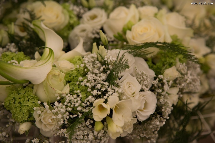 黄色玫瑰花束图片