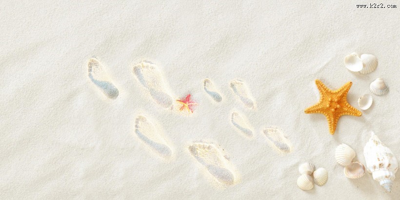 可爱的海星图片