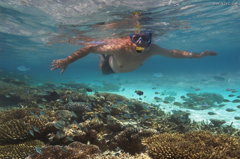有趣的海底世界图片