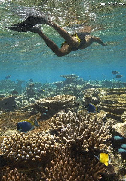 有趣的海底世界图片