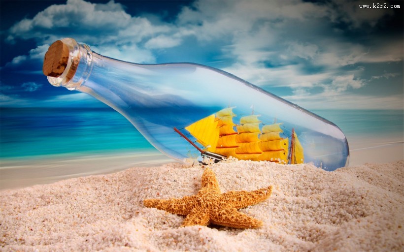 棘皮动物海星图片大全