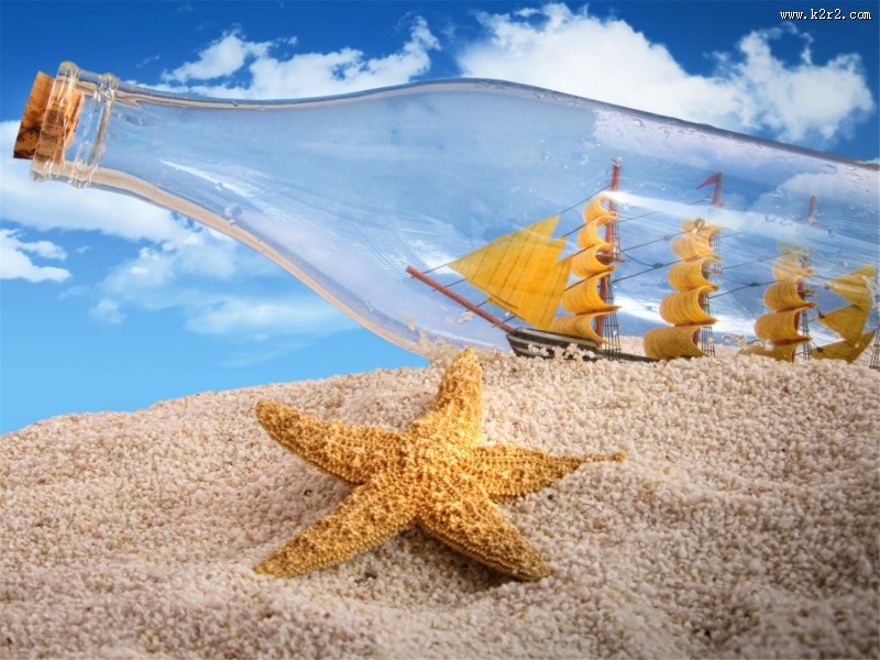 棘皮动物海星图片大全