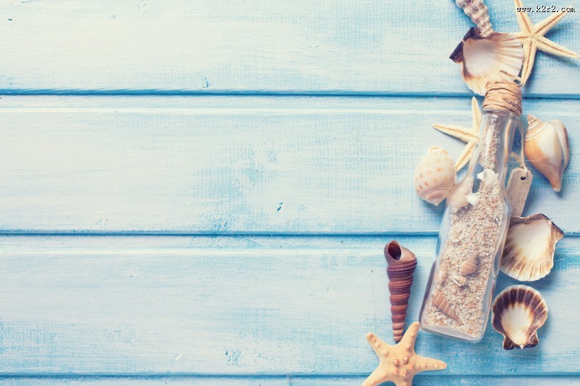 沙滩上的贝壳图片大全