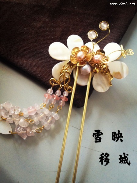 沙滩上的贝壳图片大全