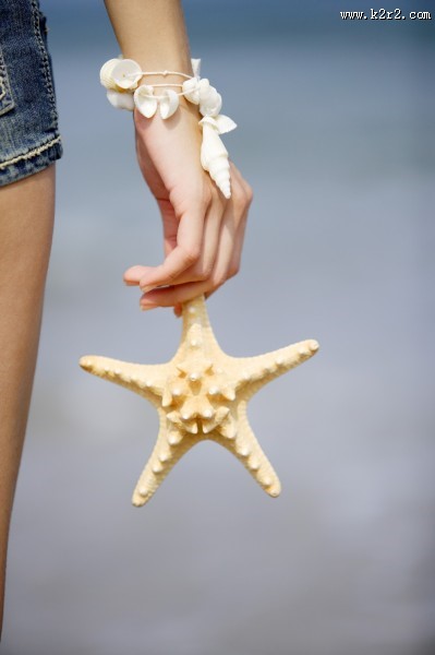 海星图片