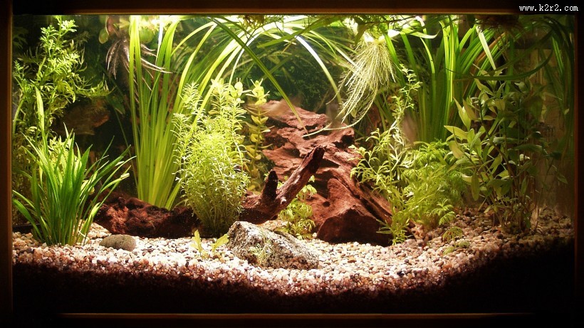 迷你水族馆图片