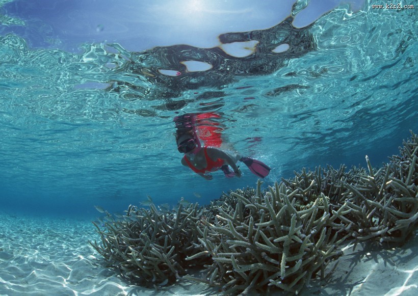 海底潜水图片大全