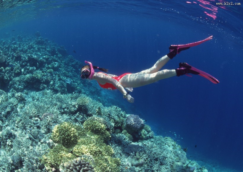 海底潜水图片大全