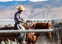 打扮酷帅的牛仔图片大全