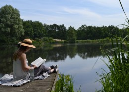 阅读图书的女孩图片