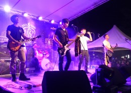 明星音乐演唱会现场图片