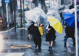 雨天街道打伞的人们图片