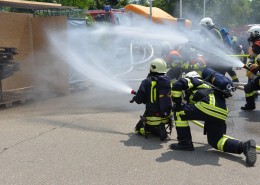 英勇的消防员图片