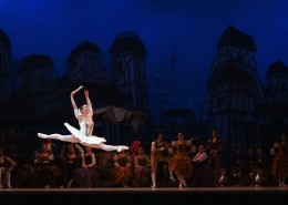 优美的芭蕾舞表演图片