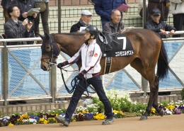 牵着马的男子图片