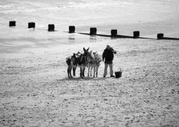 在沙滩上散步的人图片