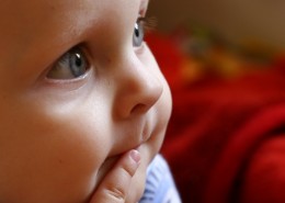 可爱的外国婴儿图片