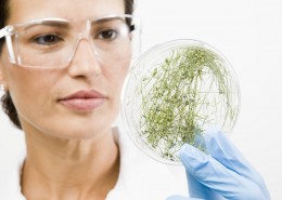 生物实验人员图片