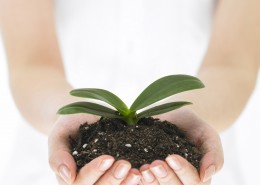 手势表达图片大全