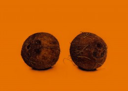 椰子的高清图片