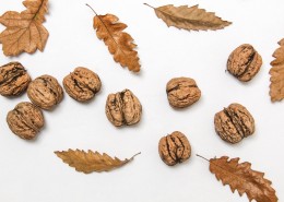 椭圆形的核桃图片