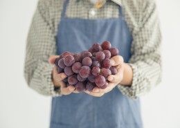 手捧成熟丰收的葡萄图片