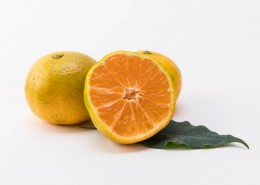 美味的橘子图片