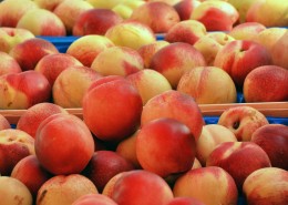 新鲜好吃的桃子图片