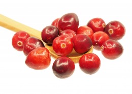 蔓越莓图片大全