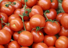 鲜红的西红柿图片大全