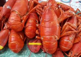 鲜美浓香的小龙虾图片