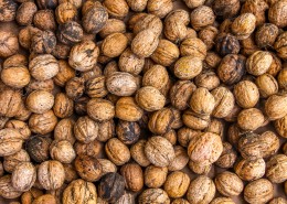 成堆的核桃图片