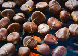 美味可口的板栗图片