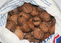 营养丰富的核桃图片大全