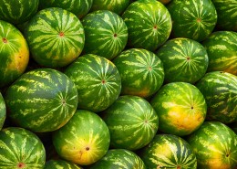 新鲜的西瓜图片