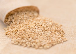 营养健康五谷杂粮燕麦图片