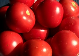 鲜红的西红柿图片