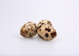 营养丰富的鹌鹑蛋图片大全
