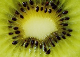 猕猴桃特写图片大全