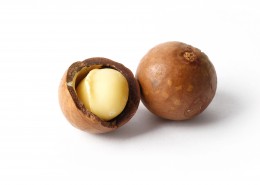 好吃又营养的夏威夷果图片大全