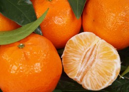 酸甜可口剥开的橘子图片大全