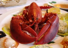 美味好吃大龙虾图片大全